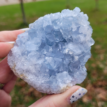 Load image into Gallery viewer, Celestite Druzy Geode Cluster