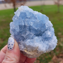 Load image into Gallery viewer, Celestite Druzy Geode Cluster