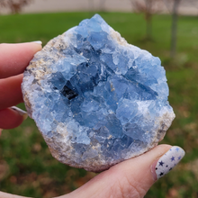 Load image into Gallery viewer, Celestite Druzy Geode Cluster - Celestite Crystal