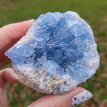 Load image into Gallery viewer, Celestite Druzy Geode Cluster - Celestite Crystal