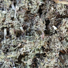 Load image into Gallery viewer, Organic dried mugwort