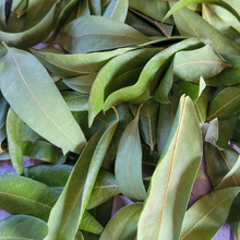 Load image into Gallery viewer, Dried California Bay Laurel leaves