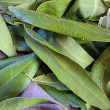 Load image into Gallery viewer, Dried California Bay Laurel leaves