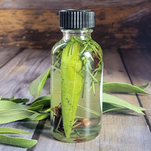 Load image into Gallery viewer, Abundance Herb Infused Ritual Oil - 1 oz Mini