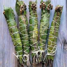 Load image into Gallery viewer, White pine smudge stick