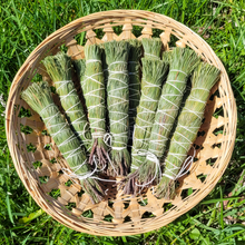 Load image into Gallery viewer, Dried white pine smoke cleansing sticks