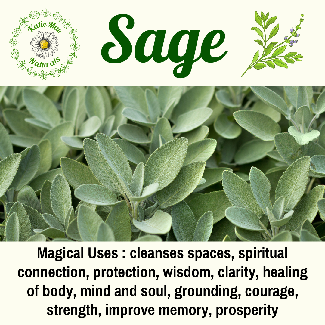 Sage Spiritual Properties + How to Use Sage for Cleansing and Protection   Katie Mae Naturals LLC