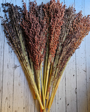 Load image into Gallery viewer, Dried Broomcorn Seed Heads - Rustic Fall Decor
