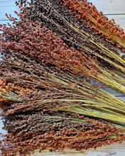 Load image into Gallery viewer, Dried Broomcorn Seed Heads - Rustic Fall Decor
