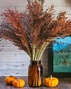 Dried Broomcorn Seed Heads - Rustic Fall Decor