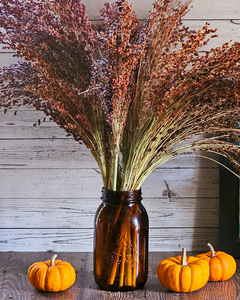 Dried Broomcorn Seed Heads - Rustic Fall Decor