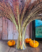 Load image into Gallery viewer, Dried Broomcorn Seed Heads - Rustic Fall Decor
