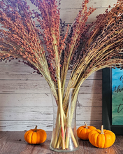 Load image into Gallery viewer, Dried Broomcorn Seed Heads - Rustic Fall Decor
