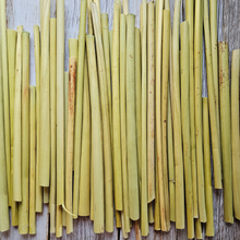 Load image into Gallery viewer, Broomcorn Stalks for Crafts, Plaiting, Broom Making - 6-14 inches Farm Grown
