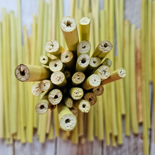 Load image into Gallery viewer, Broomcorn Stalks for Crafts, Plaiting, Broom Making - 6-14 inches Farm Grown
