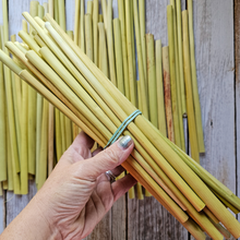 Load image into Gallery viewer, Broomcorn Stalks for Crafts, Plaiting, Broom Making - 6-14 inches Farm Grown
