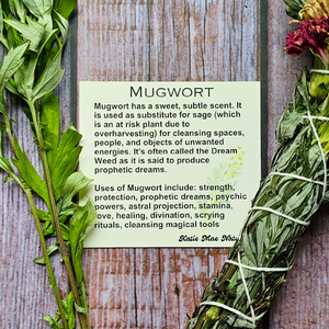 Mugwort and Seasonal Flower and Herb Bundle