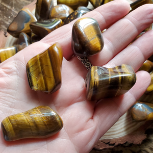 Hand holding gold tigers eye tumbled stones 