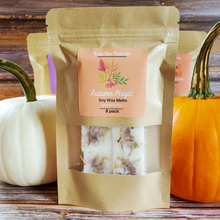 Load image into Gallery viewer, Fall Scented Soy Wax Melts - 8 pack
