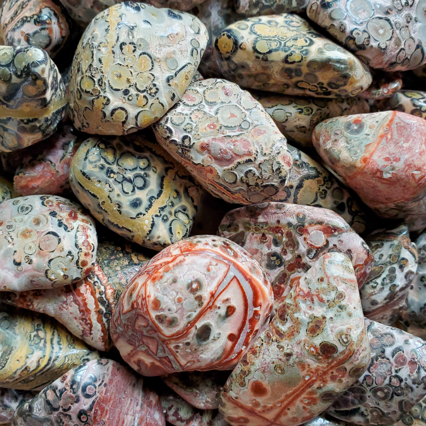 Leopard skin jasper tumbled gemstones