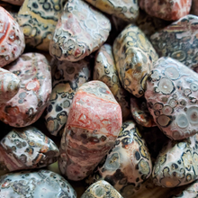 Load image into Gallery viewer, Leopardskin jasper tumbled gemstones
