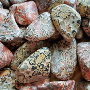 Leopard Skin Jasper Tumbled Gemstones - 0.5-1.5 inch