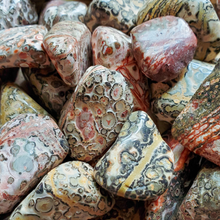Load image into Gallery viewer, Tumbled leopard skin jasper gemstones
