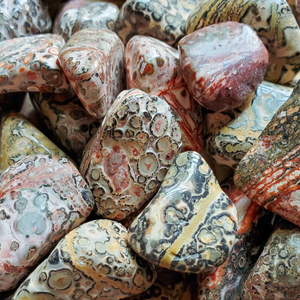 Tumbled leopard skin jasper gemstones