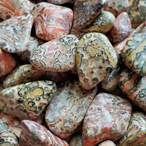 Leopard skin jasper tumbled crystals