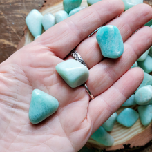 Load image into Gallery viewer, Amazonite tumbled stones
