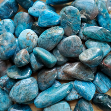Load image into Gallery viewer, Apatite Tumbled Gemstones 

