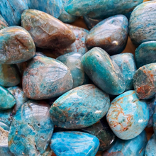 Load image into Gallery viewer, Apatite tumbled gemstones

