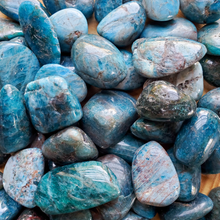 Load image into Gallery viewer, Apatite tumbled stones 

