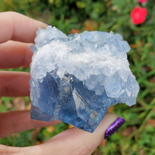 Load image into Gallery viewer, Natural Celestite Druzy Geode Cluster 
