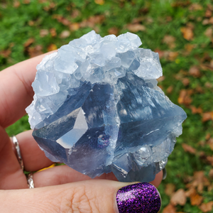 Natural Celestite Druzy Geode Cluster 