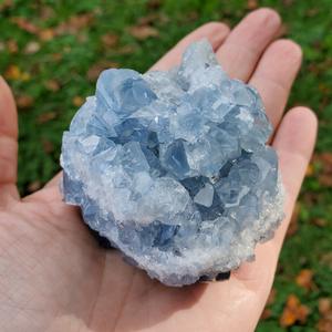 Natural Celestite Druzy Geode Cluster 