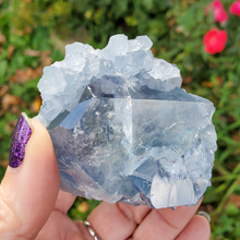 Load image into Gallery viewer, Natural Celestite Druzy Geode Cluster 
