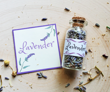 Load image into Gallery viewer, lavender mini herb bottle
