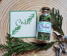 Load image into Gallery viewer, Cedar mini Apothecary Herb Bottles 
