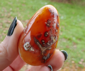 Polished Carnelian Egg (#4)