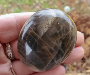Palm stone black moonstone