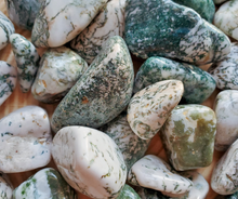 Load image into Gallery viewer, Tree agate tumbled gemstones 
