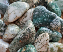 Load image into Gallery viewer, Tree agate tumbled gemstones 
