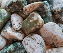 Load image into Gallery viewer, Tree agate tumbled stones
