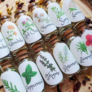 Small Apothecary Herb Bottles for Rituals, Spells, Green Magick, and More!