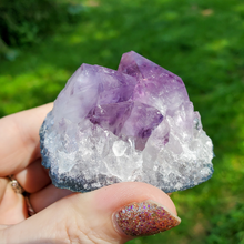 Load image into Gallery viewer, Brazilian Amethyst Cluster - Grade A Amethyst
