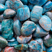 Load image into Gallery viewer, Tumbled apatite crystals
