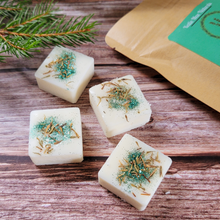 Load image into Gallery viewer, Holiday Scented Soy Wax Melts
