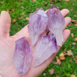 Natural rough Amethyst points 