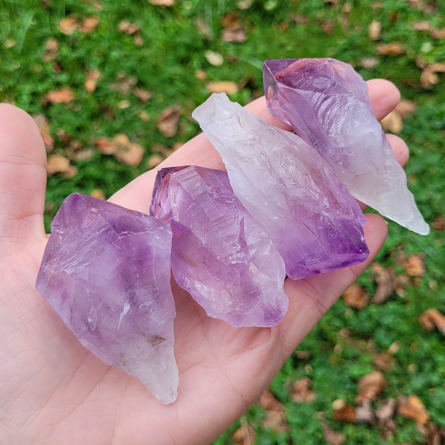 Rough natural Amethyst points